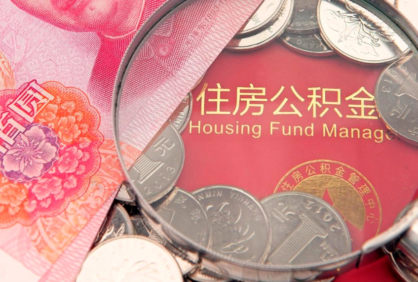 莘县上海公积金公司（上海公积金公司缴纳标准2024）